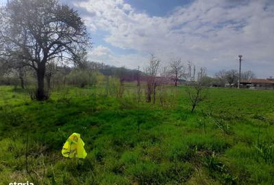 Spațiu comercial, în Buturugeni - 13