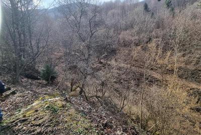 Teren arabil intravilan , priveliste mirifica , zona Schei - 11