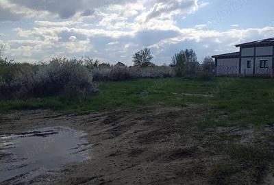 Teren pentru casa Timisoara -Ciarda Rosie - 2