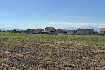 Teren Construcții intravilan de 500 mp, în Hălchiu - 4