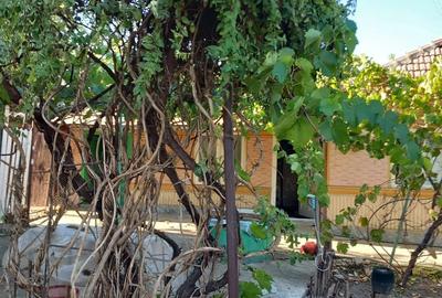 Casă cu 3 camere cu Teren 766 Mp în Sălciile - 10