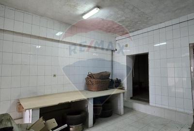 Casă cu 10 camere cu Teren 1000 Mp în Chisindia - 5