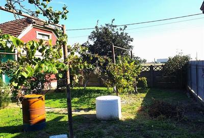 Casa cu teren mare in Cefa cu triplu front stradal - 6