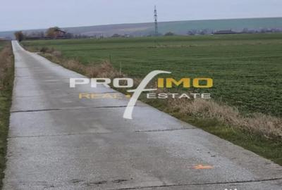 Teren de 4200 mp, în Corbu