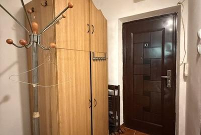 Apartament 1 camera, parter, zona Vivo Mall - 13