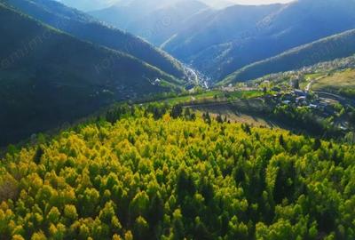 Casă cu Teren 1000 Mp în Vale - 9