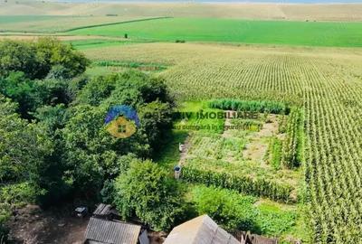 Teren de vanzare 9126 mp- comuna Stefan cel Mare