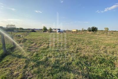 Teren intravilan 604 mp de vânzare – Șura Mică, Sibiu - 8