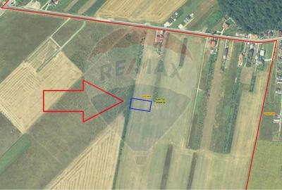 Teren Construcții intravilan de 2464 mp, în Exterior Nord - 3