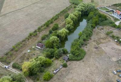 Teren de 7900 mp cu balta de pescuit in Frumu?eni - 10