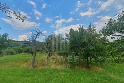 Teren de 594 mp, în Sibiel - 1