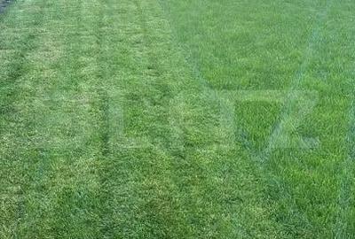 Casă cu Teren 500 Mp în Central - 4