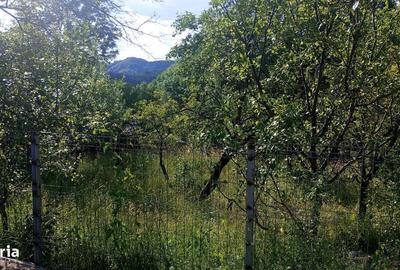 Casă cu Teren 2120 Mp în Moțăieni - 2