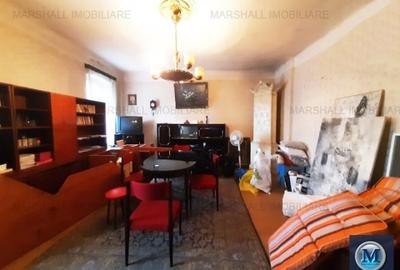 Vila cu 11 camere de vanzare, zona Gheorghe Doja, 237.7 mp #16106 - 3