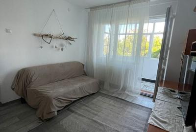 Apartament cu 2 camere semidecomandat în Podu Roș - 7