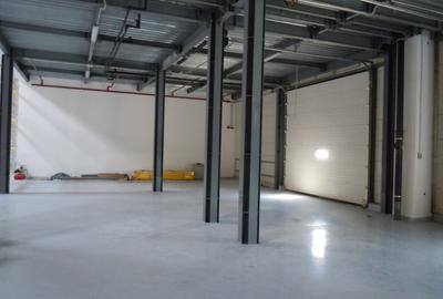 DEPOZIT SI BIROURI - PARC LOGISTIC - 7