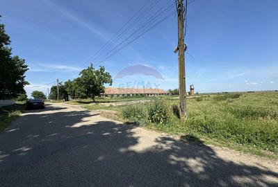 Teren 11.404mp, Biharia la 1km de Autostrada A3 - 10