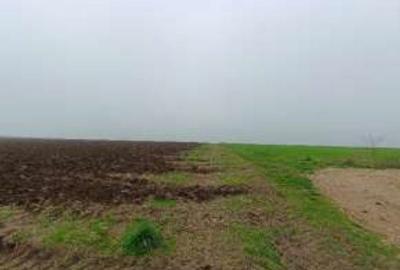 Teren de 15000 mp, în Limanu - 7