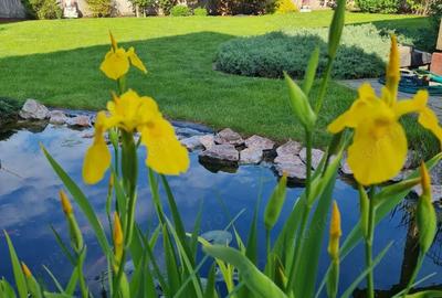 Casa individuala de vanzare cartier Gradi?te - 6