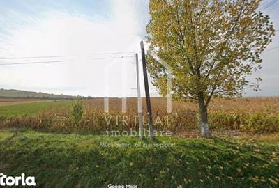 Teren de 6695 mp, în Șura Mare