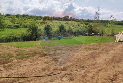Teren Construcții intravilan de 1200 mp, în Săldăbagiu de Munte - 17
