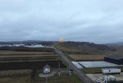 Teren Intravilan 14066 mp 1,4 hectare Suceava Mihoveni - 8