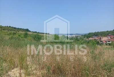 Teren de vanzare | 8800 mp | Viile Dealul Mic