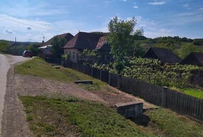 Casă cu 3 camere cu Teren 2900 Mp în Moișa - 2