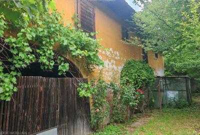Casă cu 4 camere în Vulcan - 3