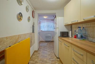 CORP DE CASA INSORIT PIATA UNIRII |3 CAMERE| TERASA CU PRIVELISTE - 18