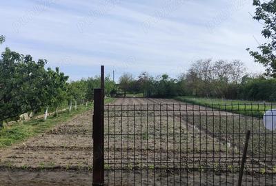 Vand casa cu teren sat Sarbova - 3