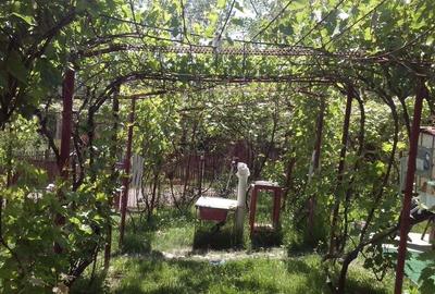 Casă cu 3 camere cu Teren 5000 Mp în Corșoru - 4