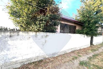 Casă cu 3 camere cu Teren 459 Mp în Letea Veche - 1