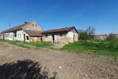Casă cu 5 camere cu Teren 2259 Mp în Zădăreni