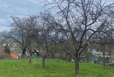 Teren de 4669 mp, în Girișu de Criș - 2