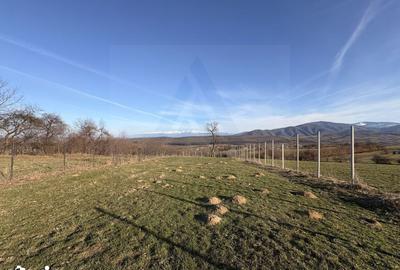 Teren de 809 mp, în Poplaca - 3