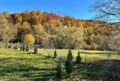 Teren de 1350 mp, în Gârcina - 13