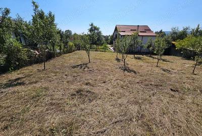 Teren de 1512 mp, în Fedeleșoiu - 10