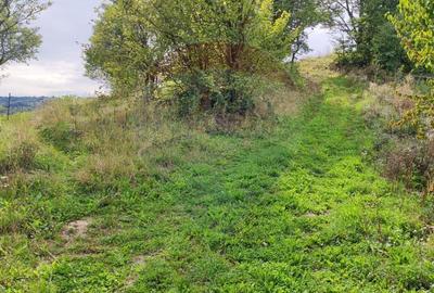 Teren Construcții intravilan de 1500 mp, în Damiș - 16