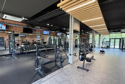 Studio modern in Loft Green Apartments Mogo?oaia comis - 29