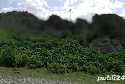 Teren de 1000 mp, în Doftana - 1