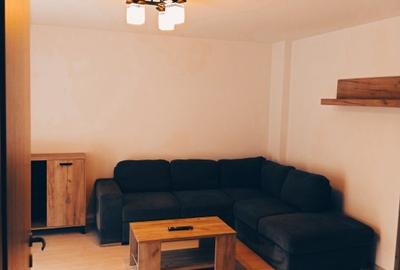 Apartament cu 2 camere decomandat, mobilat în Banat - 3