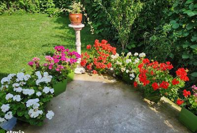 Casă cu 7 camere cu Teren 563 Mp în Exterior Vest - 5