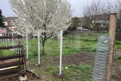 Casă cu Teren 952 Mp în Paleu