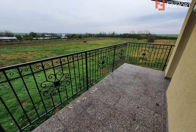 Casa cu 5 camere, 236 mp, teren 5805 mp, gaz, Brestea - Denta - 35