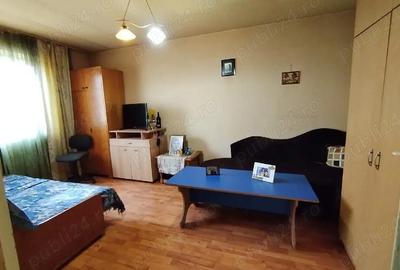 Apartament cu 2 camere decomandat în Gojdu - 5