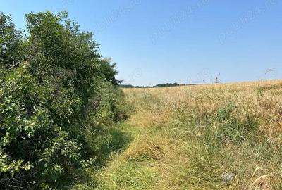 Ciolpani - Ilfov - drumul spre Izvorani, teren 4000 mp, deschidere 17,37 m - 2