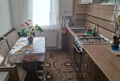 Apartament cu 2 camere semidecomandat în Central - 14