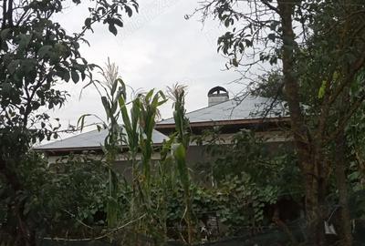 Casă cu 3 camere în Putineiu - 4