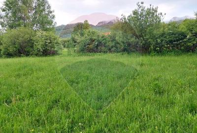 Teren Construcții intravilan de 4223 mp, în Tohănița - 4